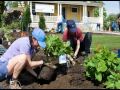 The Children S Room A Garden Grows Mov