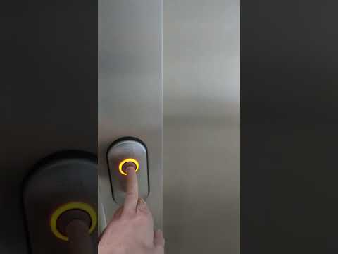 Elevator Awkwardness: Why These Moments Keep Happening #ElevatorFails #AwkwardEncounters