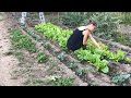 Village Life In Italy Cooking Village Food