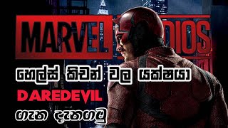 Daredevil ගැන මේ දේවල් දන්නවද? | Origin,power,Abilities,Weakness,Suits