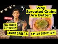 Why Sprouted Grains Are Better Enhanced Nutrition Lower Carbs And Easier Digestion