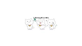 【APEX】ランクマ！今日はデュオ(/・ω・)/