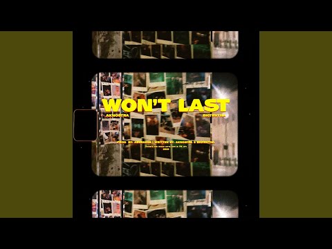 Won't Last (feat. Bigtrutha)