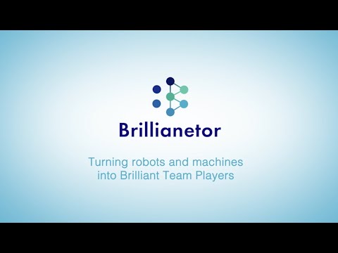 About Brillianetor logo