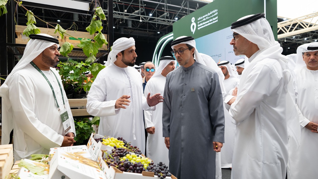 صورة بعنوان: Youtube-Image