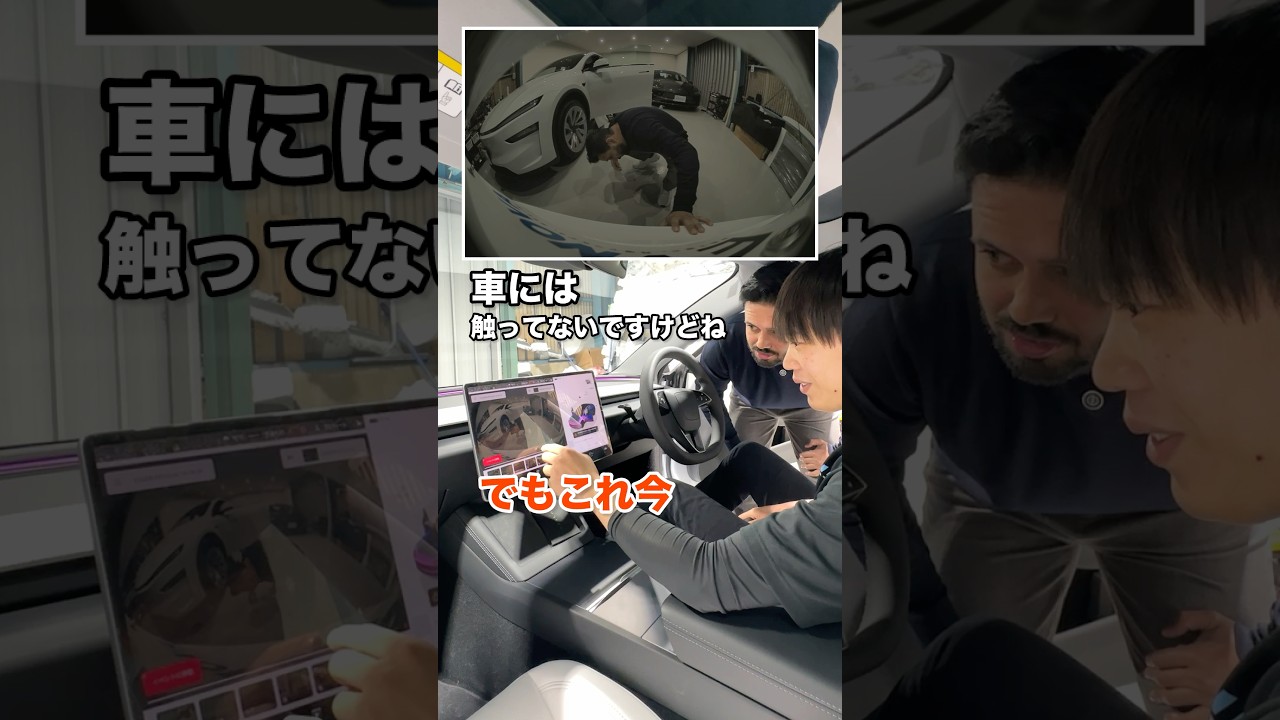 テスラのセントリーモード(監視機能)に完全敗北する怪しい人。