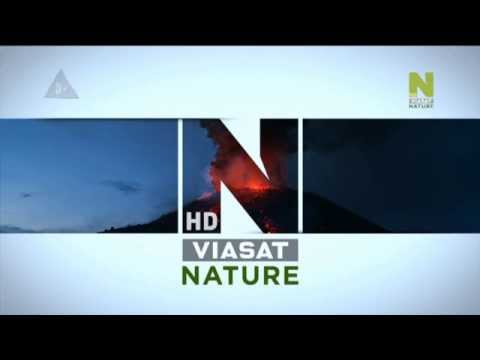 Viasat History HD / Viasat Nature HD - New Idents! 30.04.2014