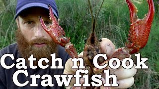 Catch and Cook CRAWFISH! Ep16 | How to Cook and Eat CRAWDADS Survival Challenge!