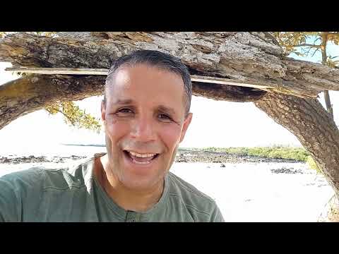 REAVIVADOS POR SU PALABRA. 1 REYES 8.  9 DE FEBRERO DEL 2026