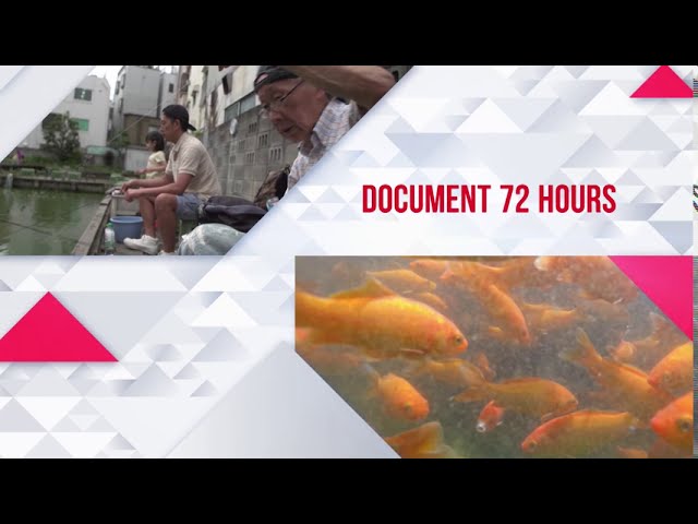 Document 72 Hours