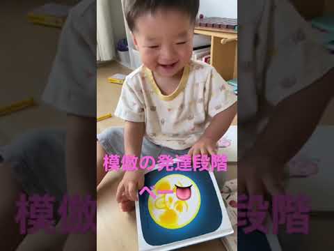 こども学科 【発達段階】ベー👅