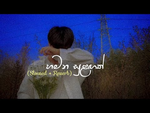 හමන සුළඟක් (Slowed + Reverb)