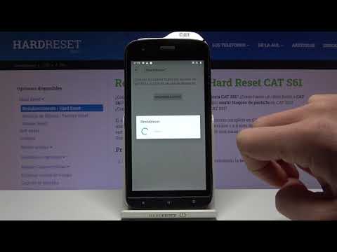 Cómo restablecer ajustes de red en CAT S61 - reiniciar la configuración de red