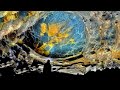 DRAGON EYE MINE /HALL OF THE GIANTS | ABANDONED PLACES UK 🇬🇧