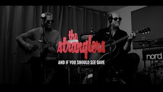 &#39;And If You Should See Dave...&#39; - (Dark Matters Acoustic Sessions)