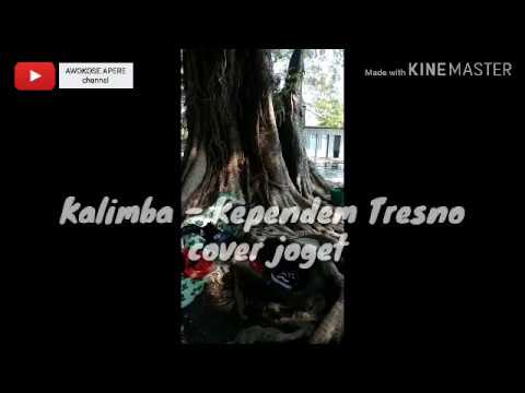 Reza Ocha - Kependem Tresno (KALIMBA) cover joget