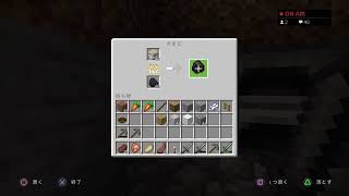 マイクラする