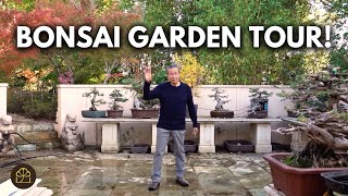 Bonsai Garden Tour! | Spring 2025 Updates