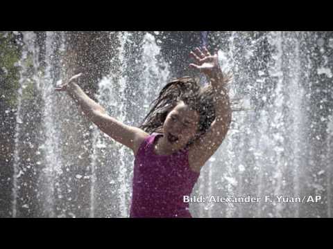 Bilder des Tages vom 24. Mai 2010