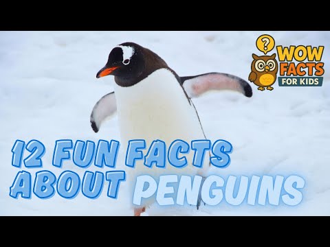 12 Fun Facts About Penguins for Kids 🐧 | Amazing Penguin Facts You Didn’t Know!