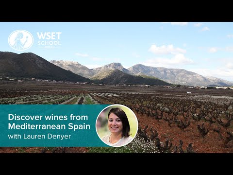 Discover wines from Mediterranean Spain with Lauren Denyer DipWSET