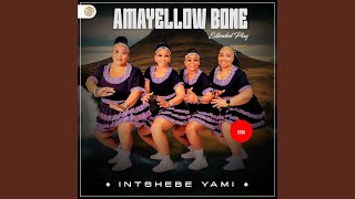 Download lagu Indoda (feat. Shenge WaseHlalankosi) mp3