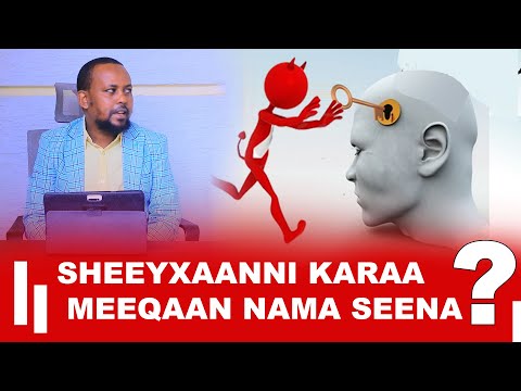 Sheeyxaanni Karaa Meeqaan Nama Seena?