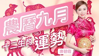 農曆九月十二生肖運勢｜屬X的朋友盡量避免出入陰氣較重的地方｜屬X的朋友是財星高照的月份同時亦是相合月份 正財或偏財運相富不錯｜屬X而的朋友令個月是相刑的月份 整體運程亦會反澄不定