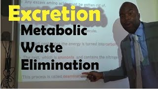 Excretion - Metabolic Waste Elimination