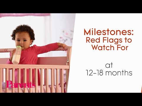 Milestones: Red Flags to Watch For at 12 to 18 Months | Parents