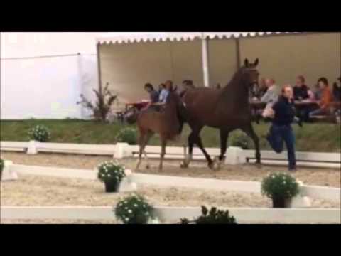 Freeman von Finest x Diamond Hit