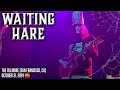 Waiting Hare | Buckethead 4K (LIVE) at The Fillmore (San Francisco 2024)