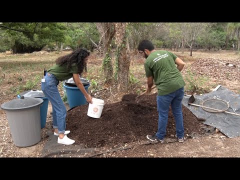 Startup transforma resíduos orgânicos em adubo através de compostagem 29 10 2022