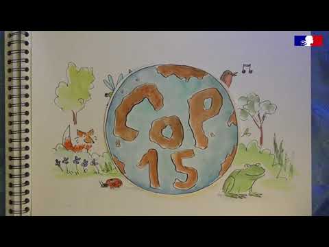 Un nouveau cadre mondial pour préserver la biodiversité