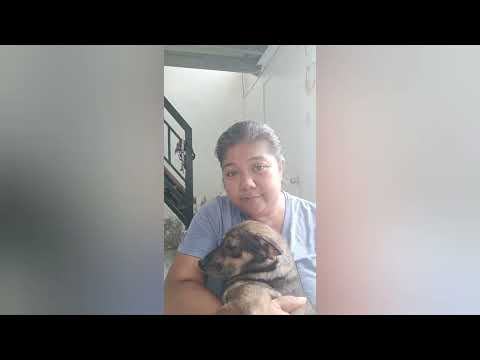 Shantay now and then