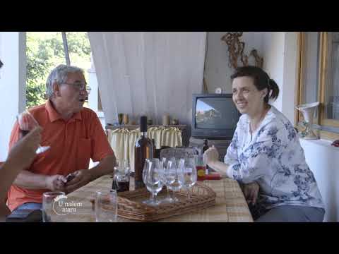 Geografsko poreklo vina i knjazevackom kraju - U nasem ataru 801