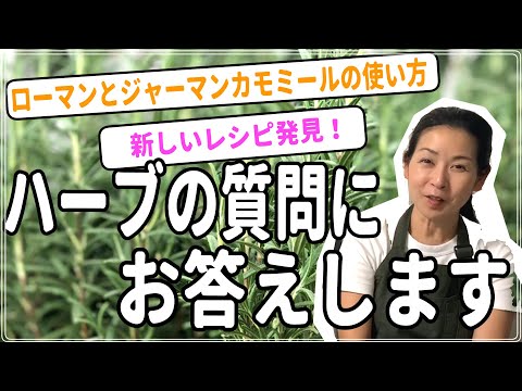 医療ビジネス薬科学科 【雑談回】続々と頂いているハーブご質問にお答えします！