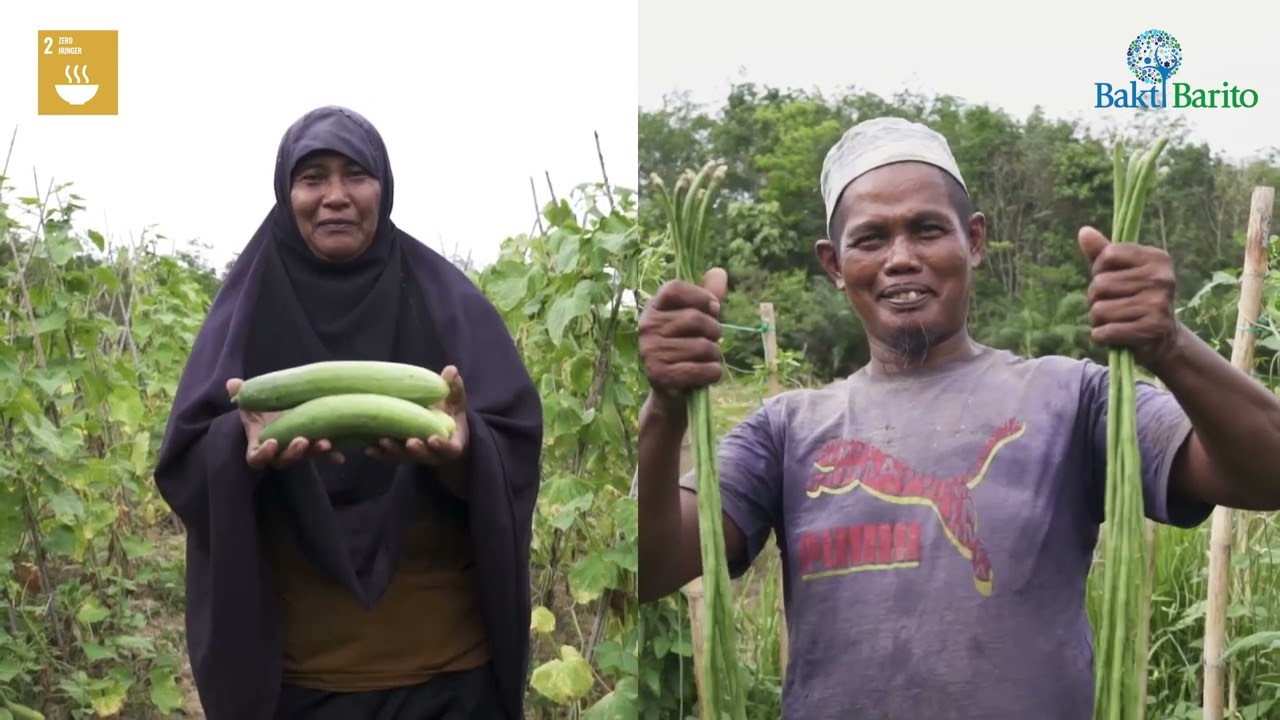 Bakti Pangan Lestari's SDG Journey: Building Food Security (2018-2022) | Bakti Barito Foundation