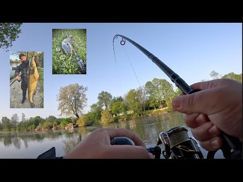 Moj novi stap za soma. Overen! Lep som za kraj prvog poluvremena | Catfish fishing | Westin W3