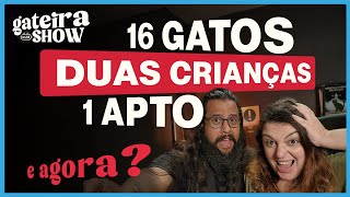MUITOS Gatos e Crianças no Apto | Gateira Live Show #010