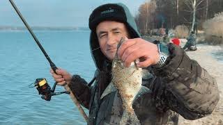 Ссылка