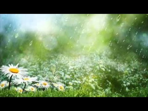 Etro Anime - Summer Rain (Original)