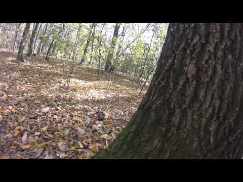 MAT Rebeli la Dragomiresti V