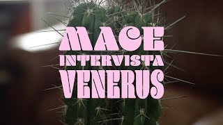 MACE X Venerus / Billboard Interview