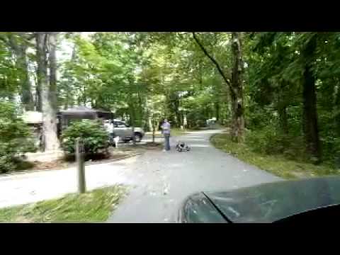 Camping Area 1 Naijafy