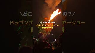 どこで見ればいいの？ドラゴンブリッジファイヤーショー　観覧場所3選