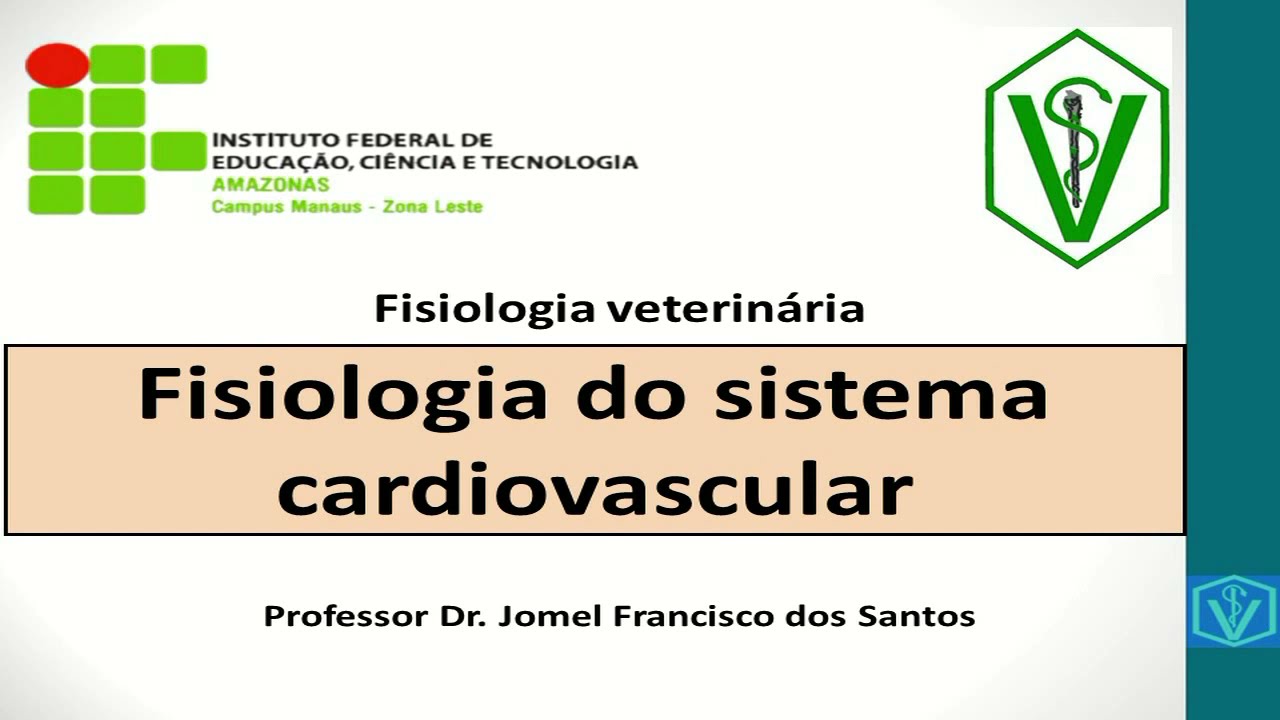 Fisiologia do sistema cardiovascular