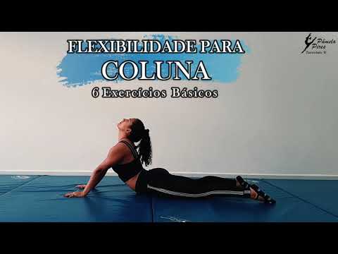 [FLEXIBILIDADE] COLUNA - 6 Exercícios Básicos