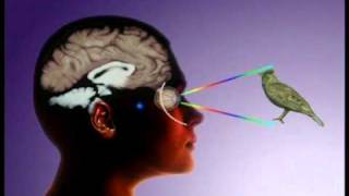 Download lagu Maddenin Ardındaki Sır - Harun Yahya mp3 Download lagu Maddenin Ardındaki Sır - Harun Yahya mp3