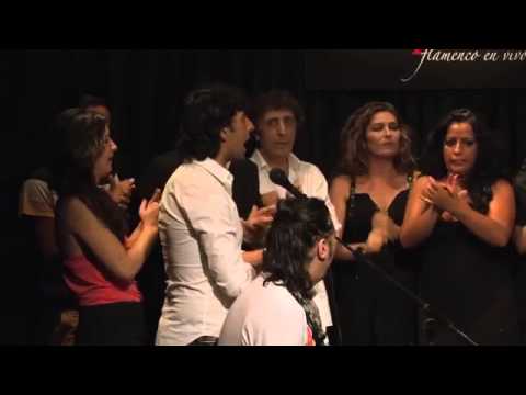 Casapatas bulerias. 2015